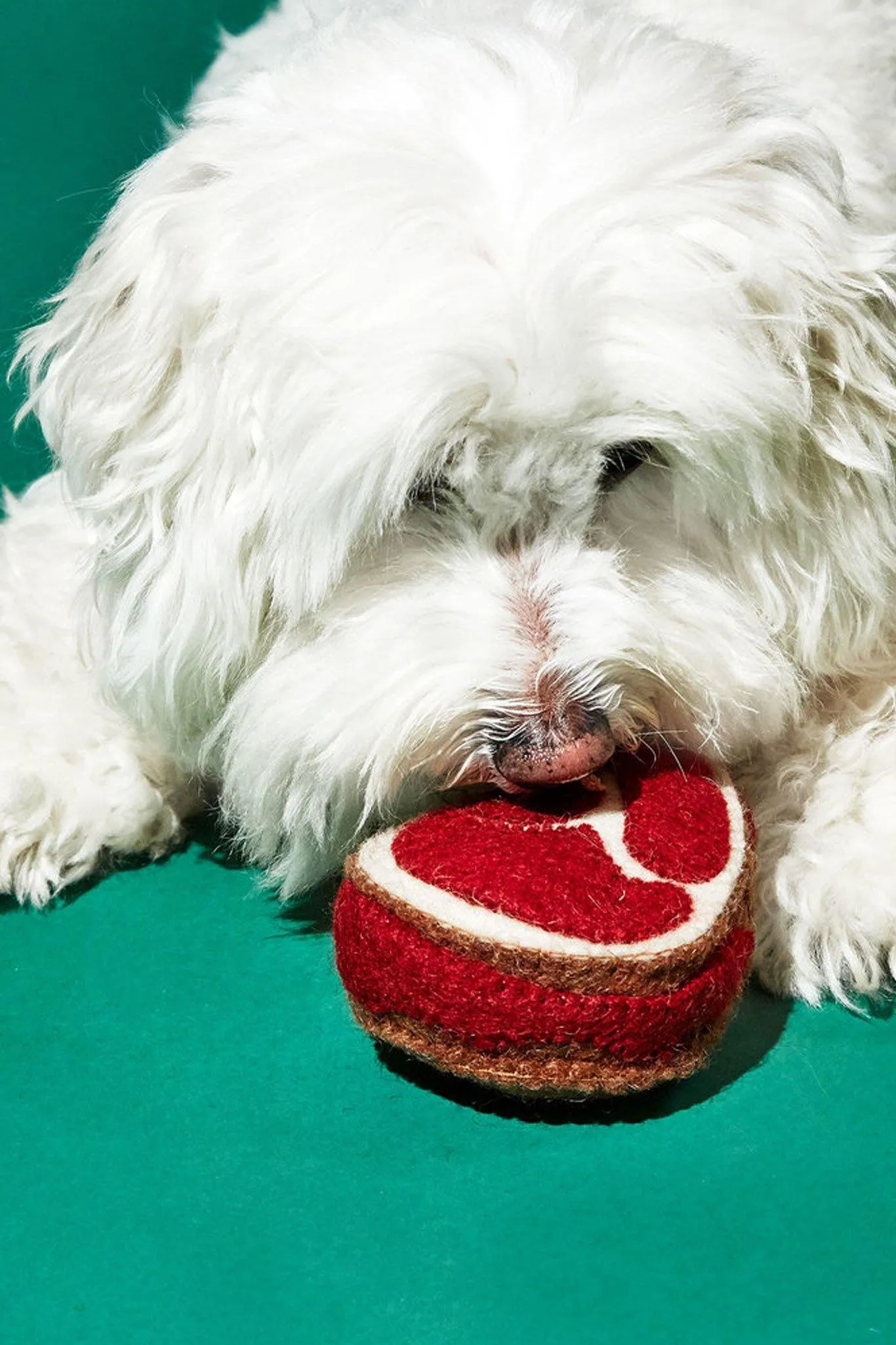 Ware of the Dog Felted Wool Steak